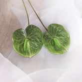2pcs Anthurium Stem Green 60cmH